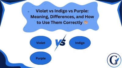 Violet vs Indigo vs Purple