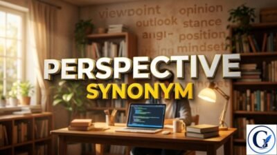 Perspective Synonym