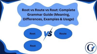Root vs Route vs Rout
